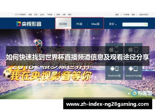 如何快速找到世界杯直播频道信息及观看途径分享
