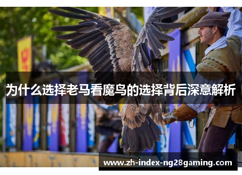 为什么选择老马看魔鸟的选择背后深意解析