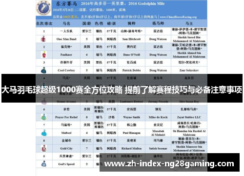 大马羽毛球超级1000赛全方位攻略 提前了解赛程技巧与必备注意事项