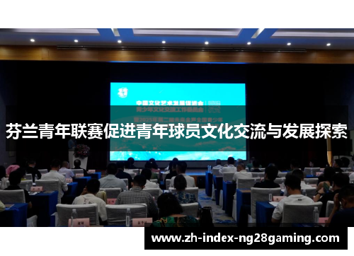 芬兰青年联赛促进青年球员文化交流与发展探索 芬兰青年联赛促进青年球员文化交流与发展探索