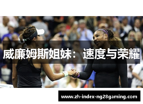 威廉姆斯姐妹:速度与荣耀 威廉姆斯姐妹:速度与荣耀