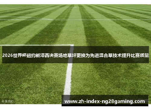 2026世界杯纽约新泽西决赛场地草坪更换为先进混合草技术提升比赛质量 2026世界杯纽约新泽西决赛场地草坪更换为先进混合草技术提升比赛质量
