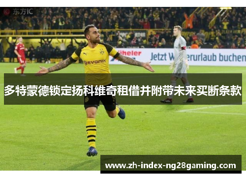 多特蒙德锁定扬科维奇租借并附带未来买断条款